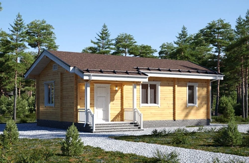 Проект одноэтажного каркасного дома