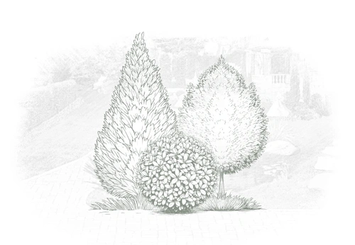 Благоустройство территорий