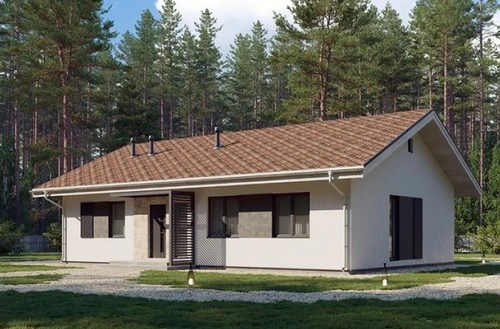 Проект одноэтажного дома из кирпича и камня